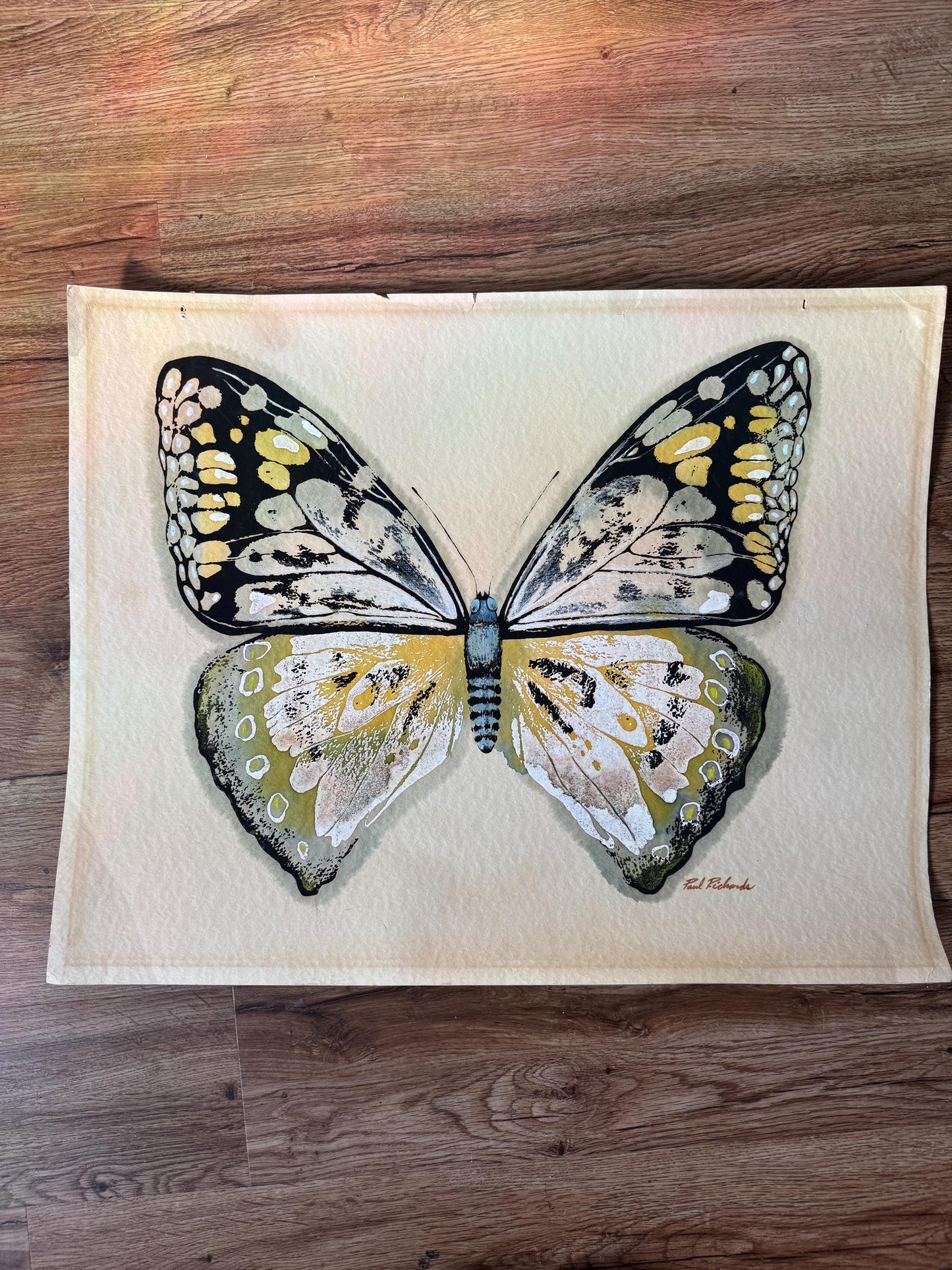 Vintage Large Butterfly Realism Paul Richards MCM Watercolor Signed Original Wall Art Postmodern Boho Butterfly RARE Find Frame Not Included