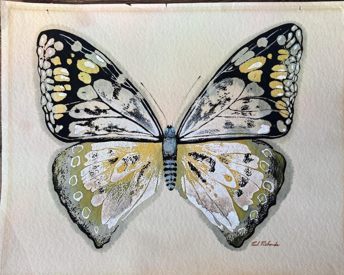 Vintage Large Butterfly Realism Paul Richards MCM Watercolor Signed Original Wall Art Postmodern Boho Butterfly RARE Find Frame Not Included